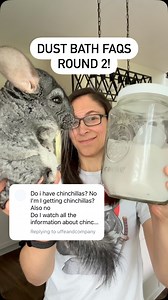 Dust Bath FAQs Round 2! 😶‍🌫️ #chinchilla #faqs #pets #petcare #dust | Chinpals