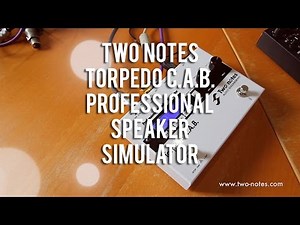 Two Notes: TORPEDO C.A.B. Professional Speaker Simulator