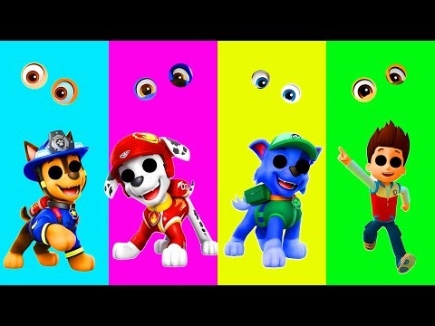 Wrong eyes👀 challenge DAME TU COSITA Paw Patrol Funny Puzzle Wrong Heads