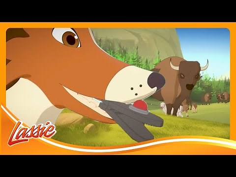 Lassie Finds a MAGIC White Buffalo! 🐶 | The New Adventures of Lassie | Cartoons For Kids