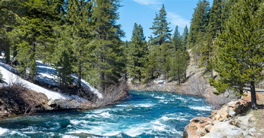 Body of missing swimmer found by divers at Truckee River
