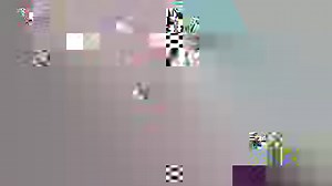 1.5K views · 137 reactions | Here is a short video I made of snowy owls screeching, the sounds they make when not impressed or defending their territory. #snowyowls #owlsounds #theeowlqueen #Canadianwildlifephotographer #angryowls | Thee Owl Queen | Facebook