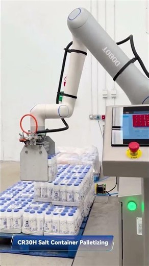 🧂 Smart & Hygienic Palletizing for Food Production