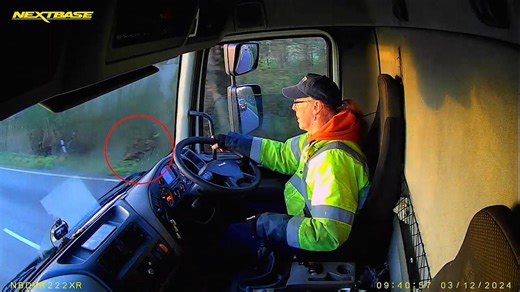 Lorry driver causes crash after trying to peer through misted-up windscreen