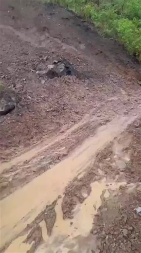 El man de las denuncias on Instagram: "¡Al borde del abismo! Un bus tipo chiva estuvo a punto de caer por el mal estado de una vía rural en el sur del #Tolima, luego de que el vehículo casi se precipitara a un abismo en el corredor que comunica el casco urbano de #Chaparral con el sector del Cañón de Las Hermosas, una carretera que, según denuncian habitantes y transportadores, presenta graves afectaciones y un r13sg0 constante para quienes transitan por la zona; por fortuna no se reportaron per