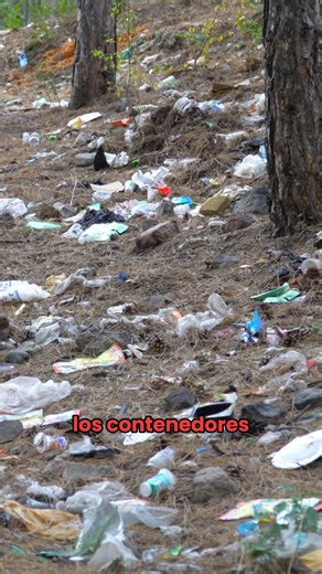 ¿Eres de los que tira la basura a cualquier hora? En San Cristóbal de Las Casas podrían multarte si sacas los desechos fuera del horario permitido #NoticiaAlMomento #CuartoPoderMx #TuDiarioVivir #Chiapas #México | Cuarto Poder Mx