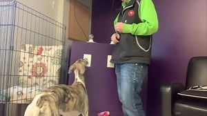 114 reactions · 20 shares | Shaping, teaching a new behavior by...