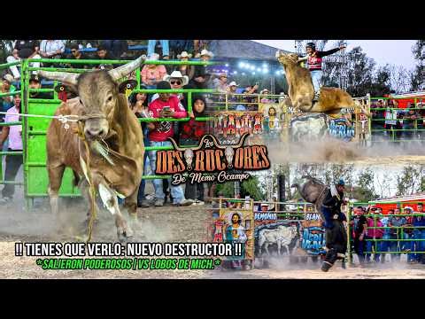 TIENES QUE VERLO: NUEVO DESTRUCTOR | SALIERON PODEROSOS | VS LOS LOBOS | Destructores Galindo Qro 26