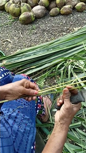 ഈർക്കിൽ ചൂല് ഉണ്ടാക്കുന്നവരും ഉപയോഗിക്കുന്നവരും ഉണ്ടോ#broomsticks #broommaking #viral#yt #nostalgia