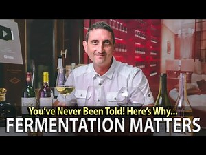 How Does Fermentation Change the Taste of Wine? (And What IS Fermentation??)