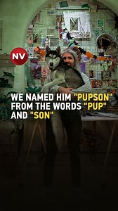 1.5K views · 36 reactions | Family of STALKER developer killed in the war on coping with their loss After her husband Volodymyr died defending Ukraine, Olha Yezhova started studying psychology, hoping to offer therapy to Ukrainian veterans, with the help of Mishko—the family dog. Both Olha and Mishko struggled with their grief but ultimately found purpose in helping others.  More in the NV video below | The New Voice of Ukraine | Facebook