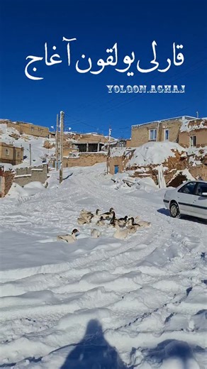 𝑺𝒐𝒃𝒉𝒂𝒏 on Instagram‎: "نمايى ديگراز هوای زمستانی روستای یولقون آغاج روستایی تاریخی و گردشگری در هفت کیلومتری شمال غربی شهرستان تکاب مقاصد مهم و جاذبه های گردشگری استان آذربایجان غربی @yolqun1 @ahmadian.011 #طبیعت #تکاب #افشار #ارپاچایی#زنجان #ارومیه #کدحیاتی#ایران #تکاب #تکانتپه #وطن #تخت_سلیمان #طبیعت #تکاب #زنجان #ارومیه #عکاس #عکس #کدحیاتی#ایران #تکاب #تکانتپه #وطن #تخت_سلیمان #اکسبلور #اذربایجان#رقص #تبریز #زنجان #ترک #کرد #عید #نوروز #فروردین #سال#پاییز #مهر#آذر #دی"‎