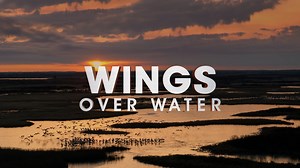 Wings Over Water - Official Trailer
