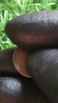 $24M Penny Found in Pocket Change—Check Your 1990 D NOW!