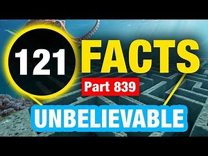 121 Seriously Interesting Facts | Incredible Facts to Blow Your Mind