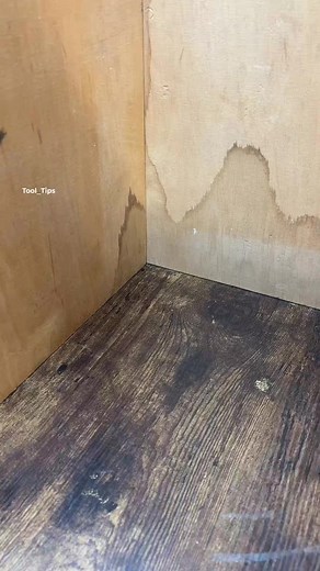 Amazed Tips and Tricks Only by Tool Tips | Tool_Tips