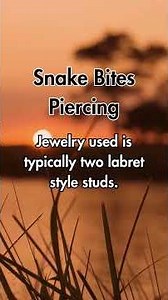 10 Snake Bites Piercing Facts You've Never Heard Before