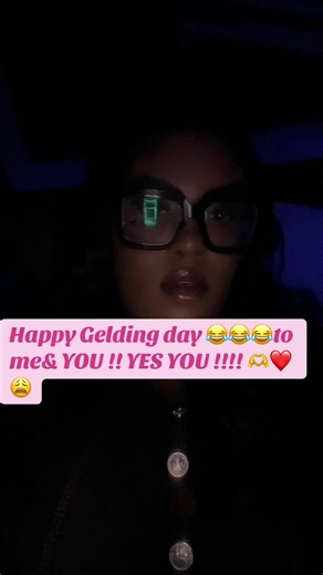 Yes I know a gelding is a castrated male horse. No, I will not stop celebrating Gelding Day. Mind your ovaries. #justvibes #darkhumour #geldingday