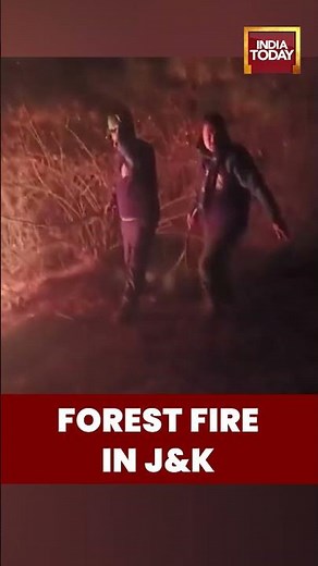 Forest Fire Doused in #handwara | Swift FPF & Fire Services Operation in Rajwar