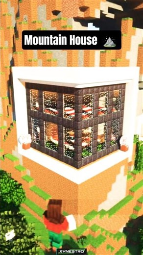 #xynestro #minecraft