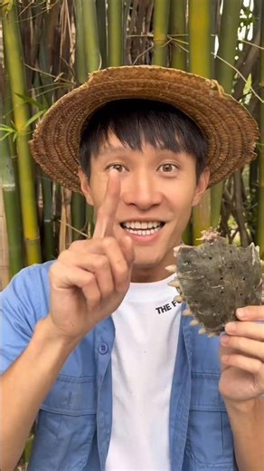 Hard cooking turtle cooking #shorts