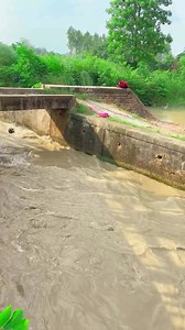 1.5M views · 6.8K reactions | Soyabansari #happy #WhatsApp #sale #photochallenge #art #Amazing #instadaily #ai #OMG #BOOMchallenge #xuhuong | Soyab Ansari | Facebook