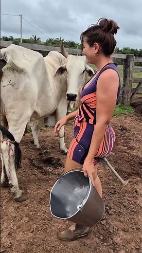 Farm Life: Milking a Cow the Traditional Way | Rural Village Lifestyle #villagelife
