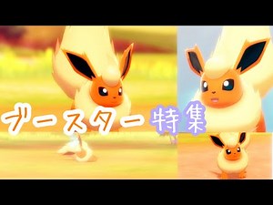 【ポケモンキャンプ#16】可愛い &カッコいいブースター特集♡