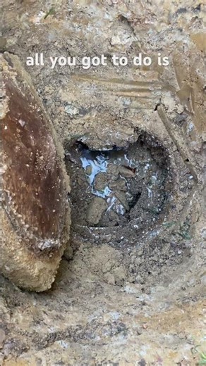 Don’t Replace Your Drain Field Yet