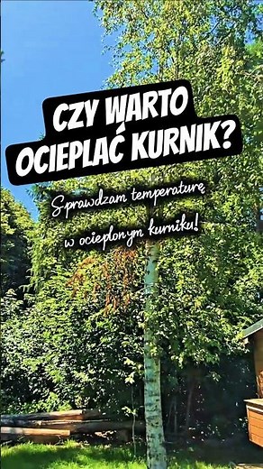 Czy warto ocieplać kurnik? Sprawdzam temperaturę w upał!
