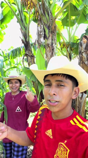 Ahora dice que no quiere agricultor porque hace mucho sol 😩 #agriculture #guatemala @Josef ✨