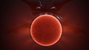 What is Cocoon? - Release date, Game Pass, platforms, & more