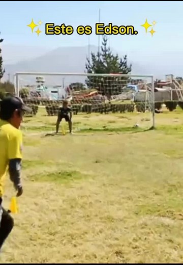 Cuentas recomendadas