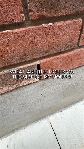 See those little holes on the side of your house? They're called weep holes — and bugs are using them as a highway straight into your home right now. A little insecticide dust inside each one stops them cold. Follow for more simple fixes.