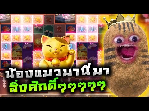 Lucky Neko : สล็อตPG แมวpg ลักกี้เนโกะพีจี น้องแมวมานี่มา สิ่งศักดิ์ๆๆๆๆๆ