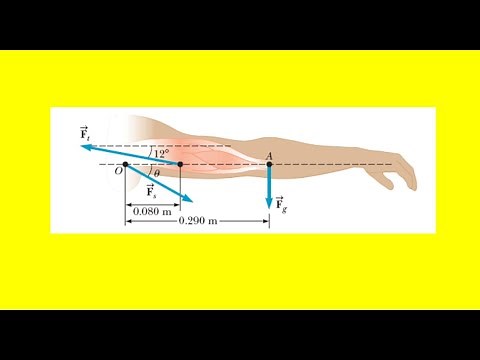 The arm in the figure below weighs