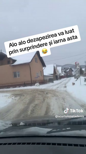 #iarnapeulita @Budelecan Ionut Sori @veronicatimis675 @Marius Gabriel 😊