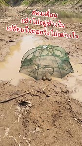 2.6M views · 15K reactions | กบไหวตัวทันไม่เข้ารูตามเพื่อนวิ่งกลับบ้านอย่างไวฮ่า藍藍The frog was quick enough to not follow its friends into its hole. Haha. #haha #คลิปฮาๆ #คลิปตลก #คลิปขำขำ #funny #reelsfunny | แม่น้องฟินิกซ์ ชาแนล | Facebook