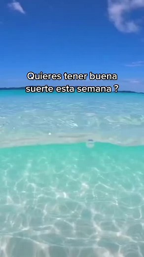 Cuentas recomendadas