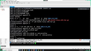 linux入门到精通
