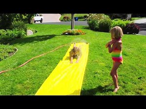 Slip 'N Slide: A Must-See!