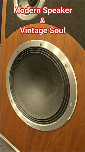 Massive 12" BASS SPEAKER - New Modern High-End HiFi SPEAKERS VINTAGE Soul AUDIOVECTOR TRAPEZE