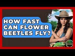 How Fast Can Flower Beetles Fly? - Reptilian Wonders