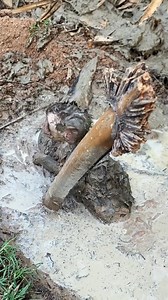 54K views · 511 reactions | Don’t let fear be his last memory  #HelpNow #MonkeySOS | Monkey Fiya | Facebook