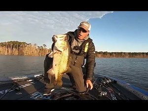 TOP 5 BIGGEST BASS CAUGHT IN TOURNAMENTS! (compilation)