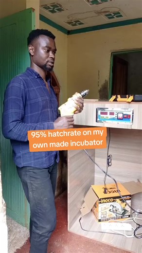 DIY Incubator with 95% Hatch Rate