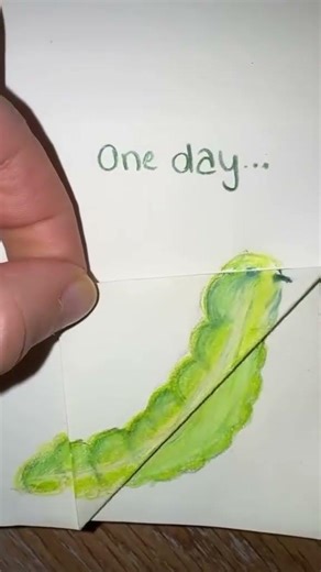 You Won't Believe the End Result... 🐛➡️🦋