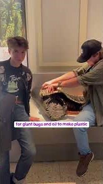 Let’s sing the Geologic Time Song!