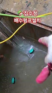 지하실집수정에 되하여 우리가 알아야 하는것들 #집수정청소 #집수정배수펌프교체 #집수정역류 #집수정악취 #Shorts