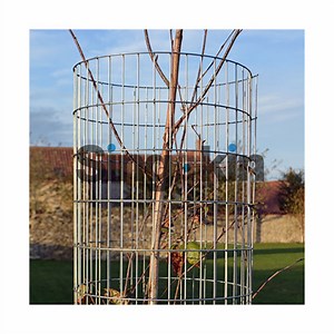 [Hot Item] Preformed Galvanized Weld Mesh Tree Guards